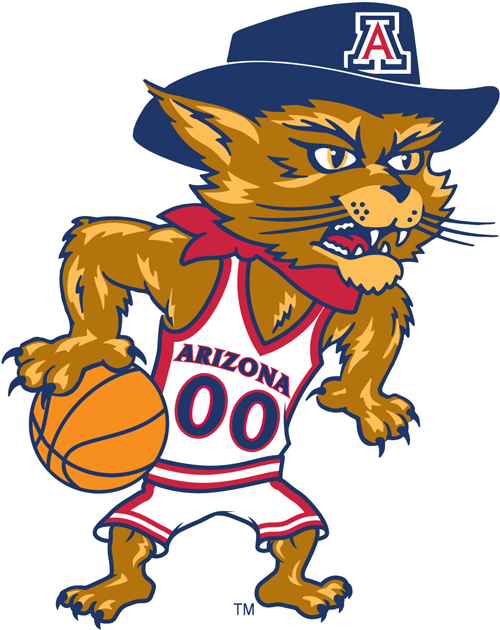 Arizona Wildcats 2003-2012 Mascot Logo 06 vinyl decal